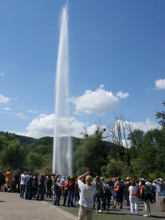 Ferienwohnung Rheingold Andernach Pokoj fotografie